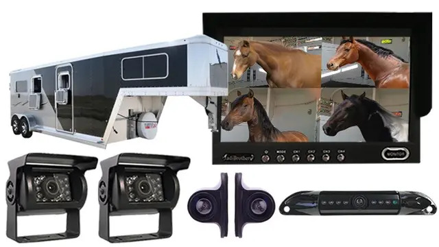 Horse trailer multi-camera backup system with monitor